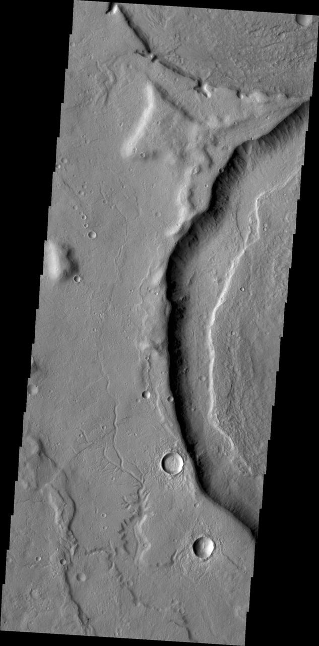 The channels in this image are part of a multitude of channels that dissect the eastern flank of Tempe Terra.