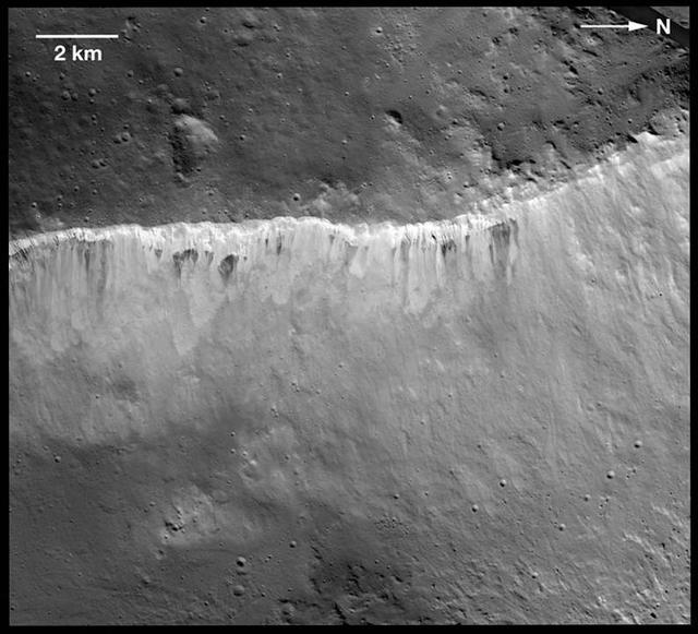 The interplay of bright and dark material at the rim of Marcia crater on Vesta is visible in this image mosaic taken by NASA Dawn spacecraft. The bright and dark material appear to be exposed from weathering.