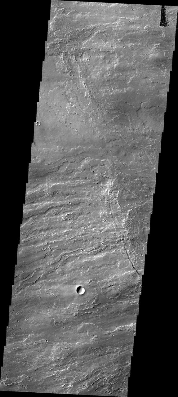 This image captured by NASA 2001 Mars Odyssey spacecraft shows volcanic flows from Arsia Mons, the southernmost of the Tharsis volcanoes.