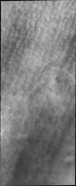 Clouds are common feature over the north polar dunes in spring. This image captured by NASA 2001 Mars Odyssey spacecraft shows line after line of puffy clouds, with hints of dark sand dunes below.