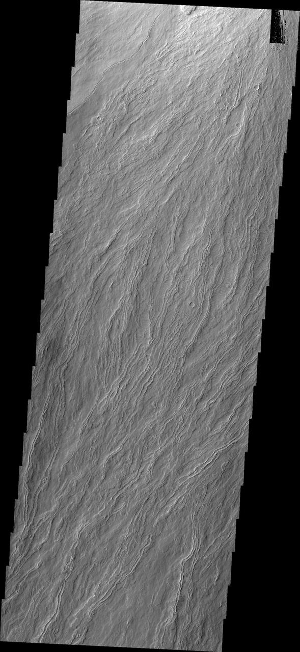 The narrow volcanic flows in this image from NASA 2001 Mars Odyssey spacecraft are located on Olympus Mons, the largest volcano in the solar system.