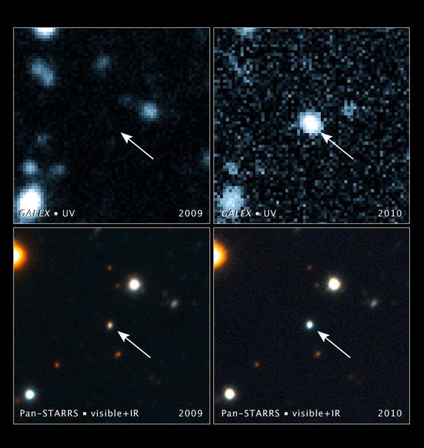 NASA image: Black Hole Swallows a Star