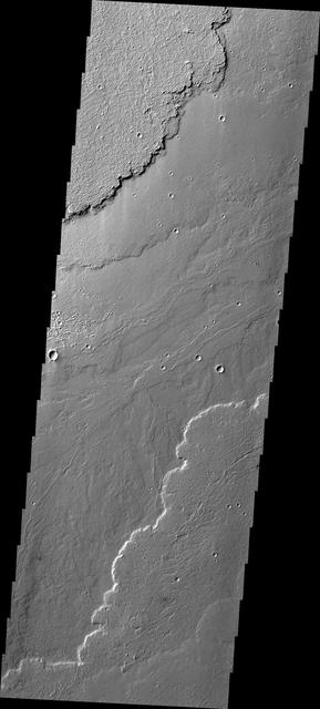 NASA image: Daedalia Planum
