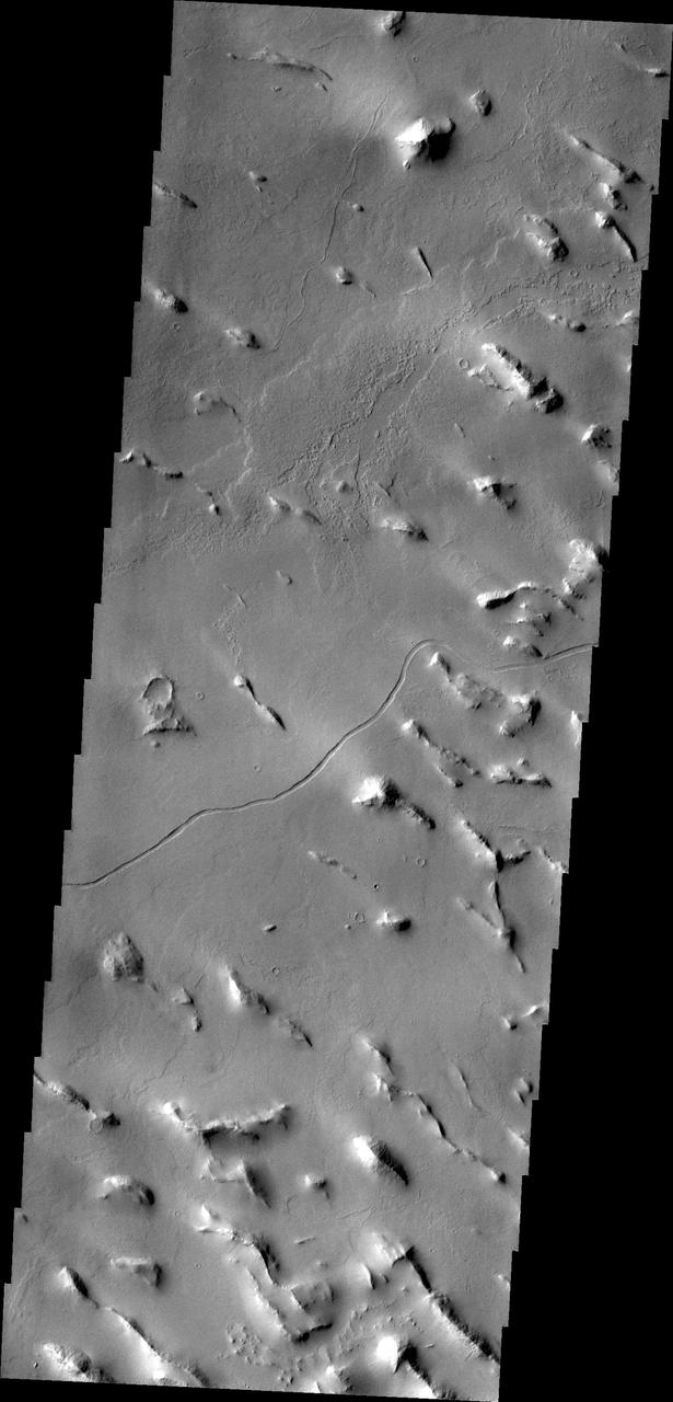 Isolated hills and a small channel are visible in this image of Gigas Sulci captured by NASA 2001 Mars Odyssey spacecraft . Gigas Sulci is located southeast of Olympus Mons.