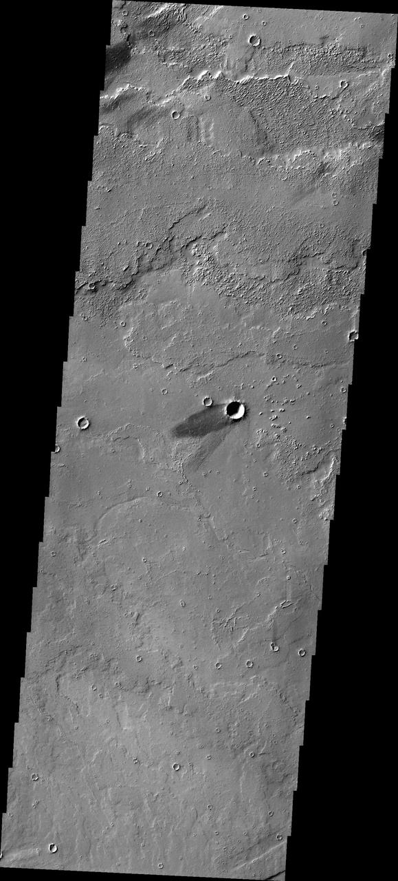 The solitary windstreak in today image from NASA 2001 Mars Odyssey spacecraft is located on the volcanic plains of Daedalia Planum. The windstreak appears to represent two different wind directions.
