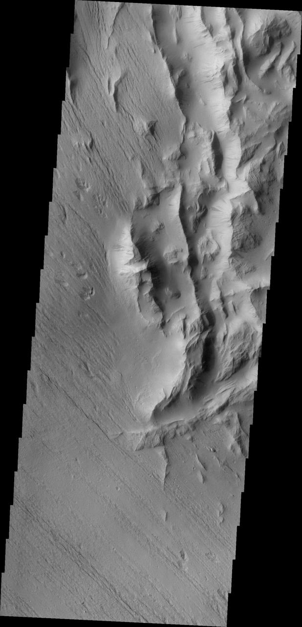 This image from NASA 2001 Mars Odyssey spacecraft is of Lycus Sulci, located on the western side of Olympus Mons and dominated by multi-direction ridges which contains material less resistant than the ridges to the effects of wind.