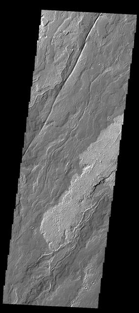 NASA image: Daedalia Planum
