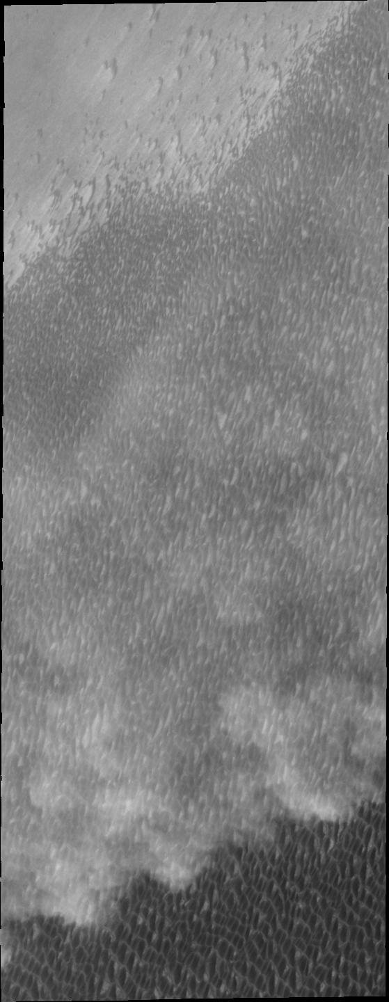 Spring storms are common near the north pole. This image captured by NASA 2001 Mars Odyssey spacecraft shows a storm front over the extensive dune field which surrounds part of the polar cap.
