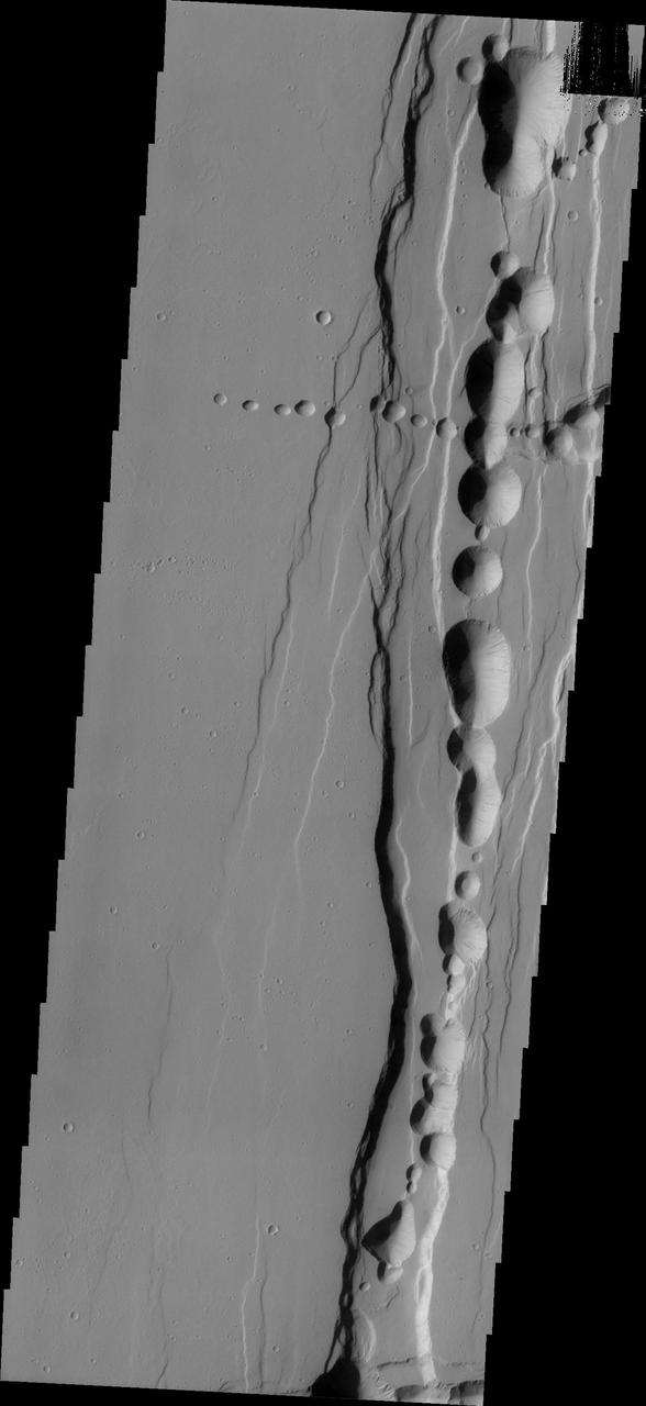 Tractus Catena is a series of collapse pits and fractures south of Alba Mons as seen in this image from NASA 2001 Mars Odyssey spacecraft. The collapse pits, which run in two directions in this image, are typically indicative of volcanic lava tubes.