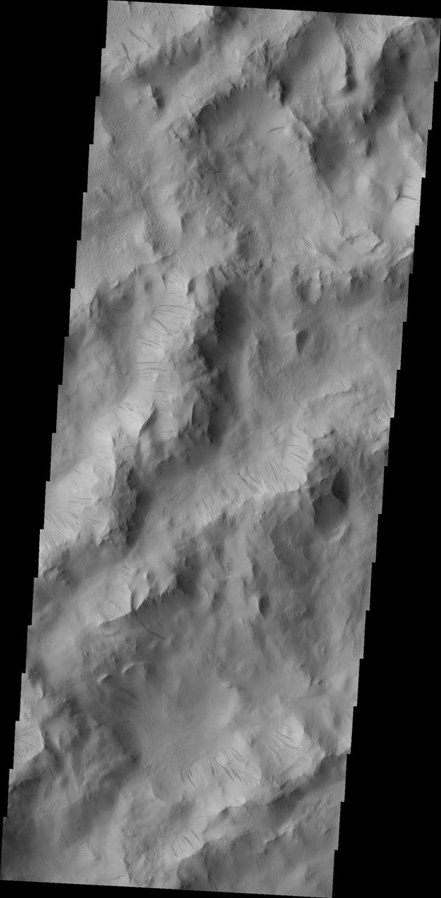 Dark slope streaks are common throughout the ridges that comprise Lycus Sulci in this image captured by NASA 2001 Mars Odyssey spacecraft.