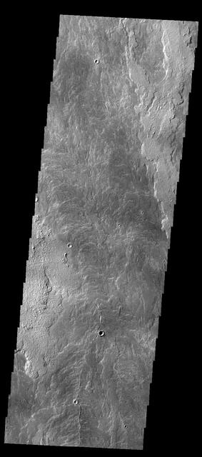 NASA image: Daedalia Planum