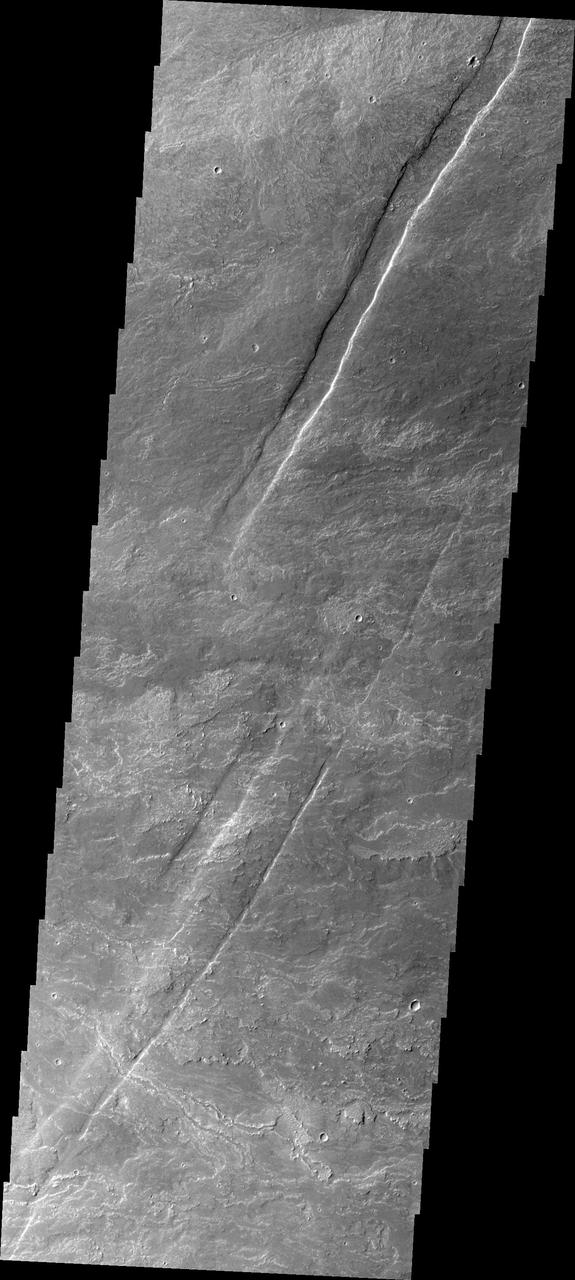 Oti Fossae