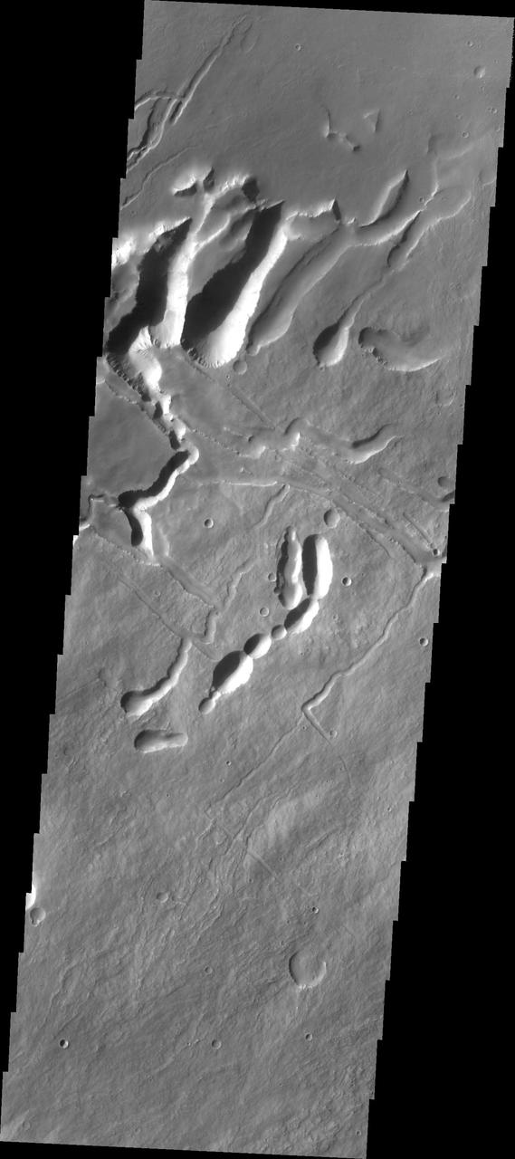 This image from NASA 2001 Mars Odyssey spacecraft shows the complex surface on the northeastern flank of Arsia Mons. The channel-like features and collapse pits are likely all due to subsurface lava tubes.