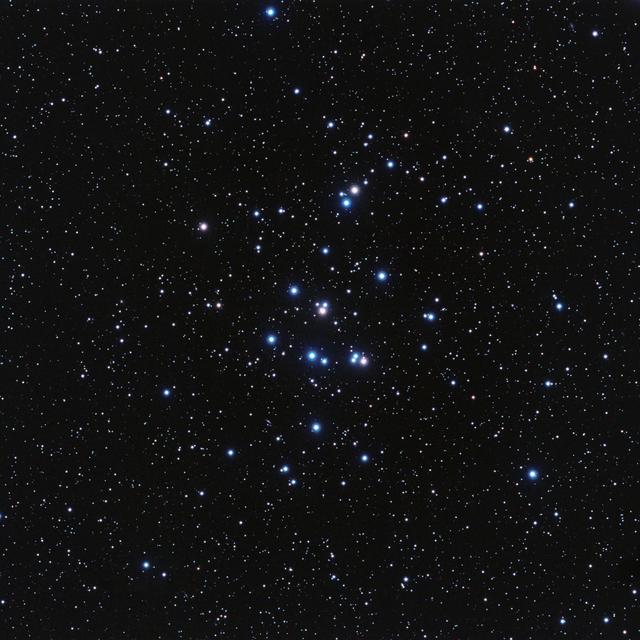 NASA image: Bees in the Beehive