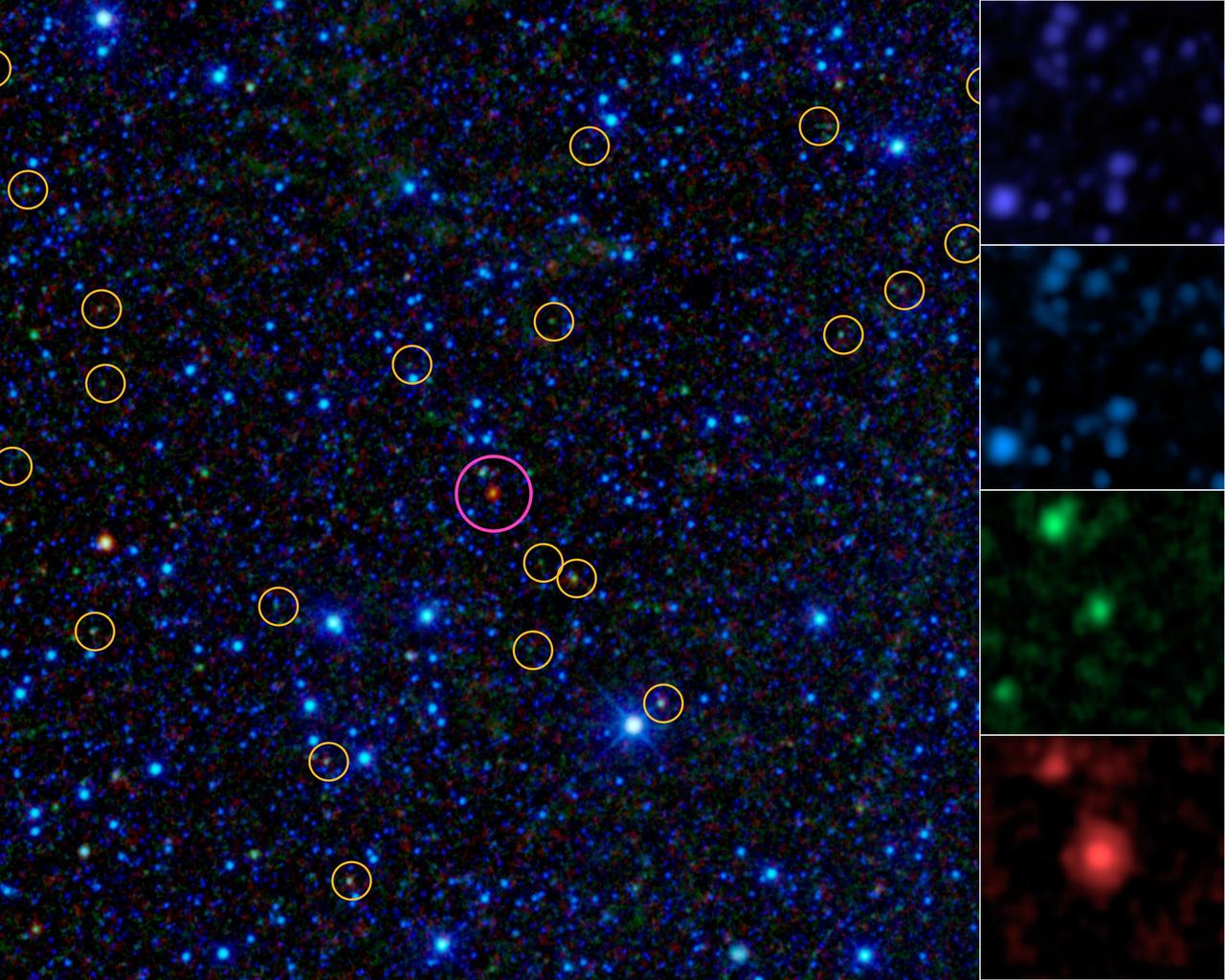 This image is a portion of the all-sky survey from NASA WISE. It highlights the first of about 1,000 hot DOGs found by the mission magenta circle. Hot DOGs are hot dust-obscured galaxies and are among the most powerful galaxies known.