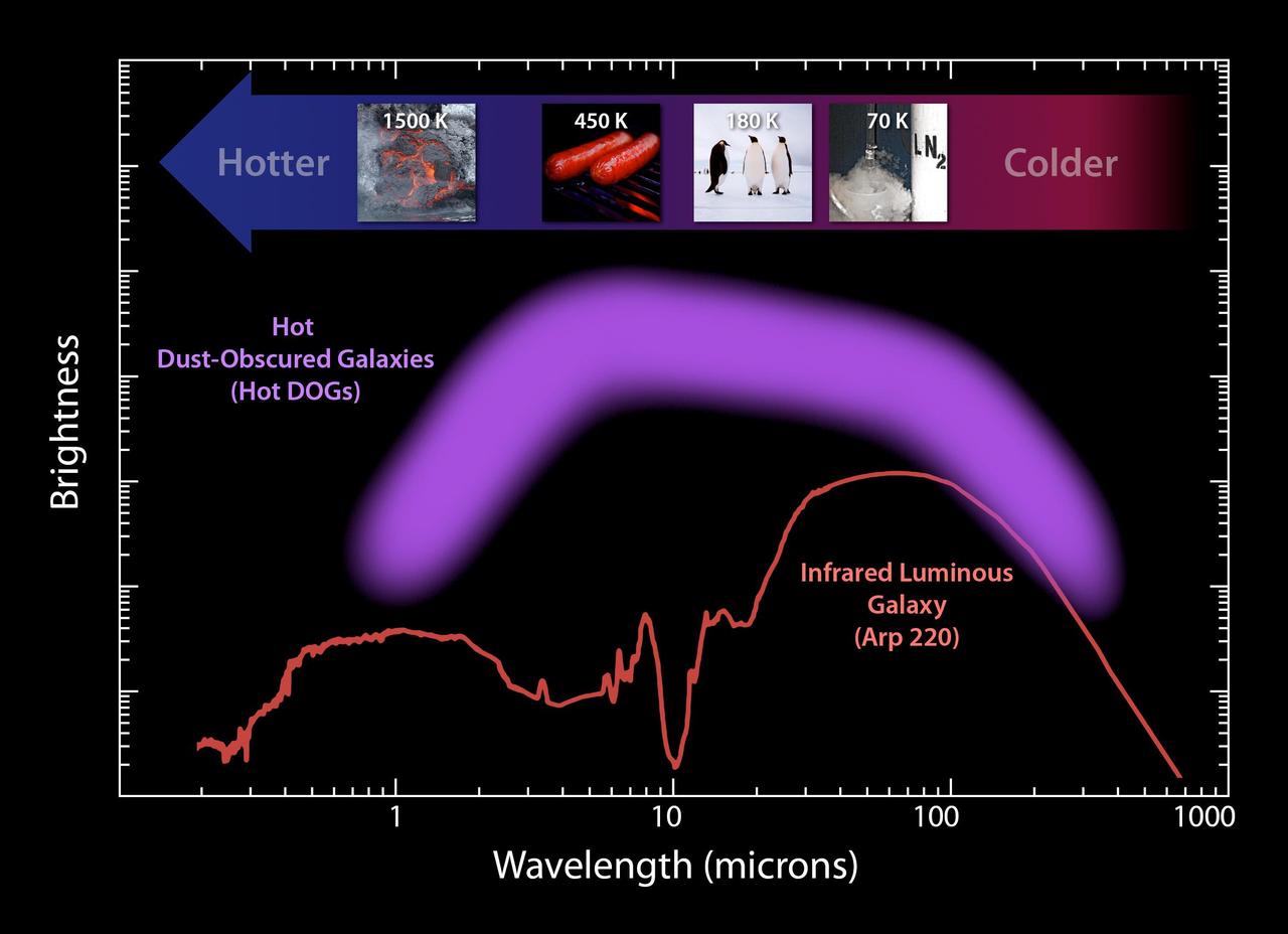 This plot illustrates the new population of hot DOGs, or hot dust-obscured objects, found by WISE. The purple band represents the range of brightness observed for the extremely dusty objects.