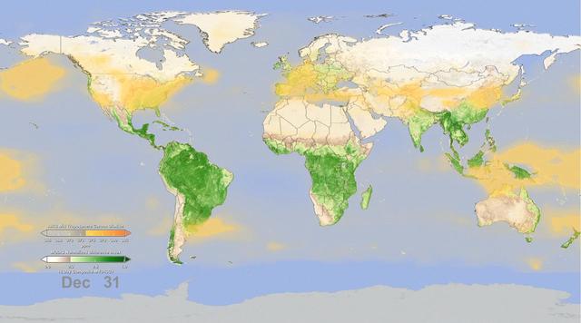NASA image: Effect of Seasonal Vegetation Cycle on Global Atmospheric Carbon Dioxide