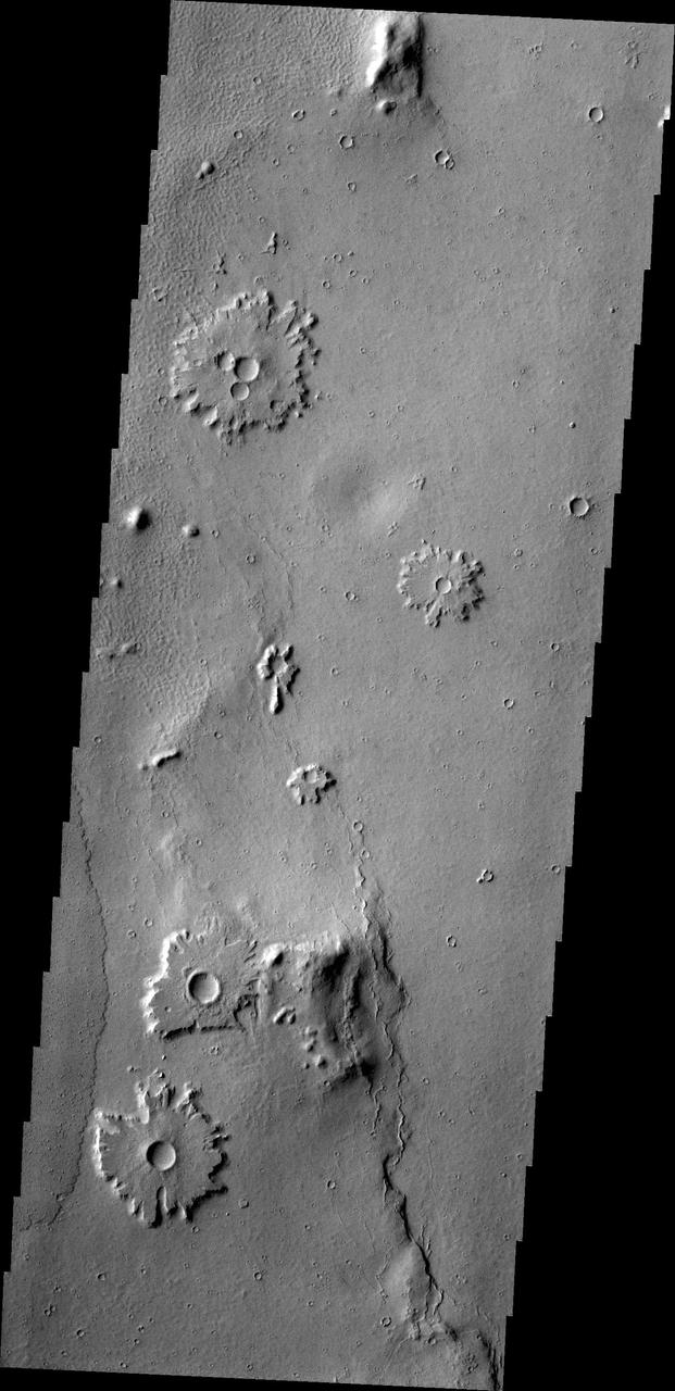 The craters in this image from NASA 2001 Mars Odyssey spacecraft are located in a region of prolonged wind action. The ejecta of the craters is more resistant to the wind than the materials around it.