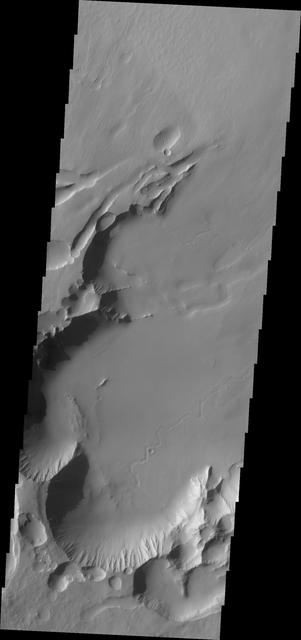 NASA image: Pavonis Chasma