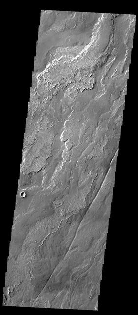 The lava flows in this image captured by NASA 2001 Mars Odyssey spacecraft are part of Daedalia Planum, the immense plain of flows from Arsia Mons.