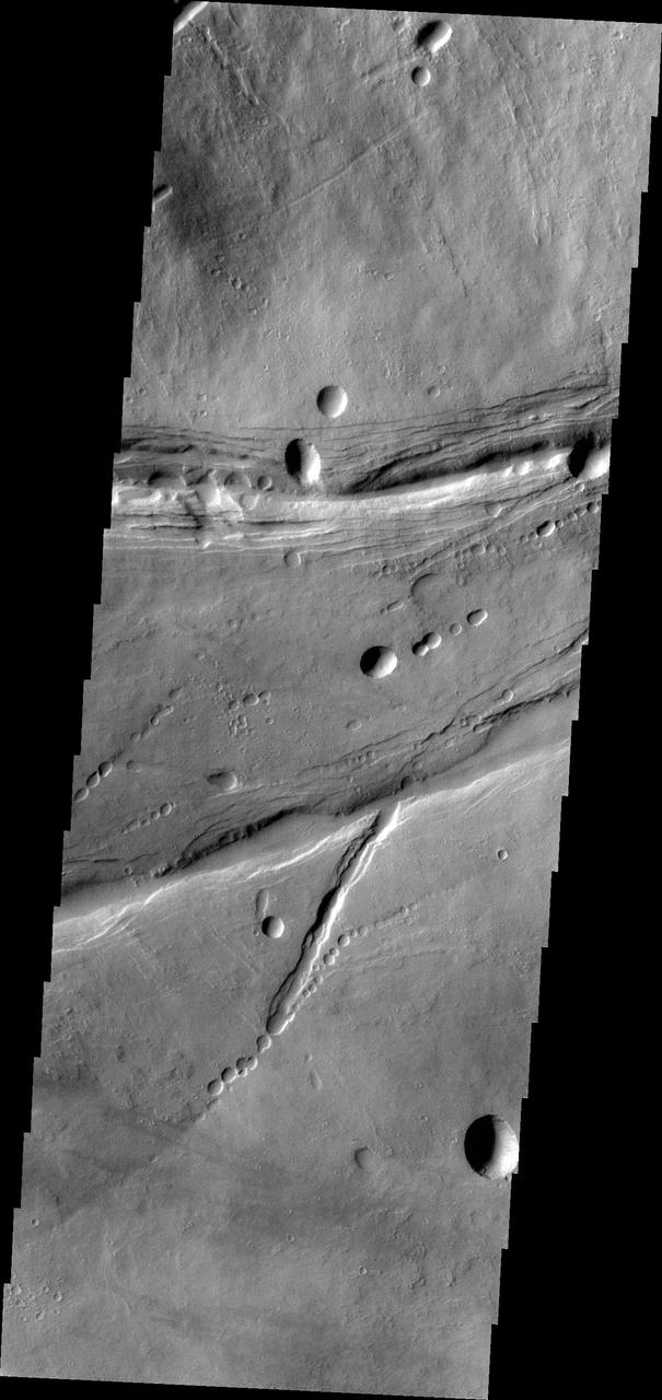 The linear and circular features in this image from NASA Mars Odyssey spacecraft are all volcanic and are located at the base of the southern flank of Ascraeus Mons.