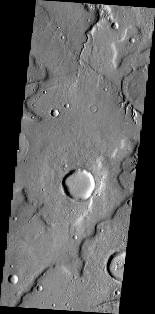 The small unnamed channels in this image captured by NASA 2001 Mars Odyssey spacecraft are located on the northeastern margin of Tempe Terra.