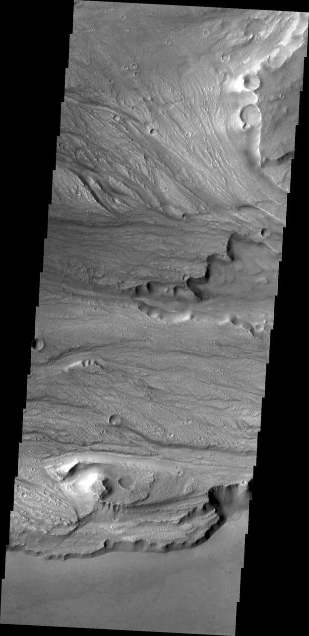 This image from NASA 2001 Mars Odyssey spacecraft shows small channels at many different elevations, all part of the complex region between the northern and southern bottom of image main channels of Kasei Valles.