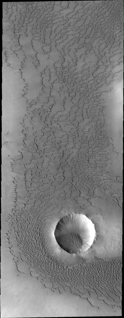 This image from NASA 2001 Mars Odyssey captures an unnamed crater with the interior sand sheet and the dunes outside of it are part of the southern margin of Abalos Undae, a dune field near the north polar cap. Small gullies are located on the interior