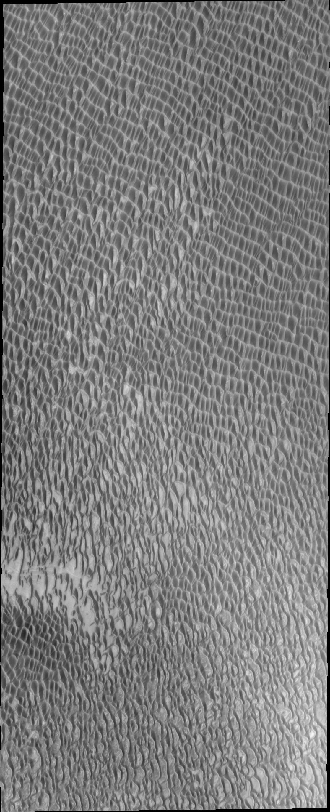 More Polar Dunes