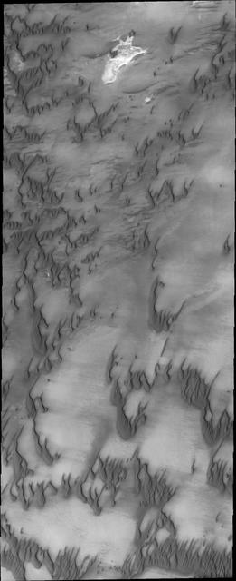 NASA image: North Polar Dunes