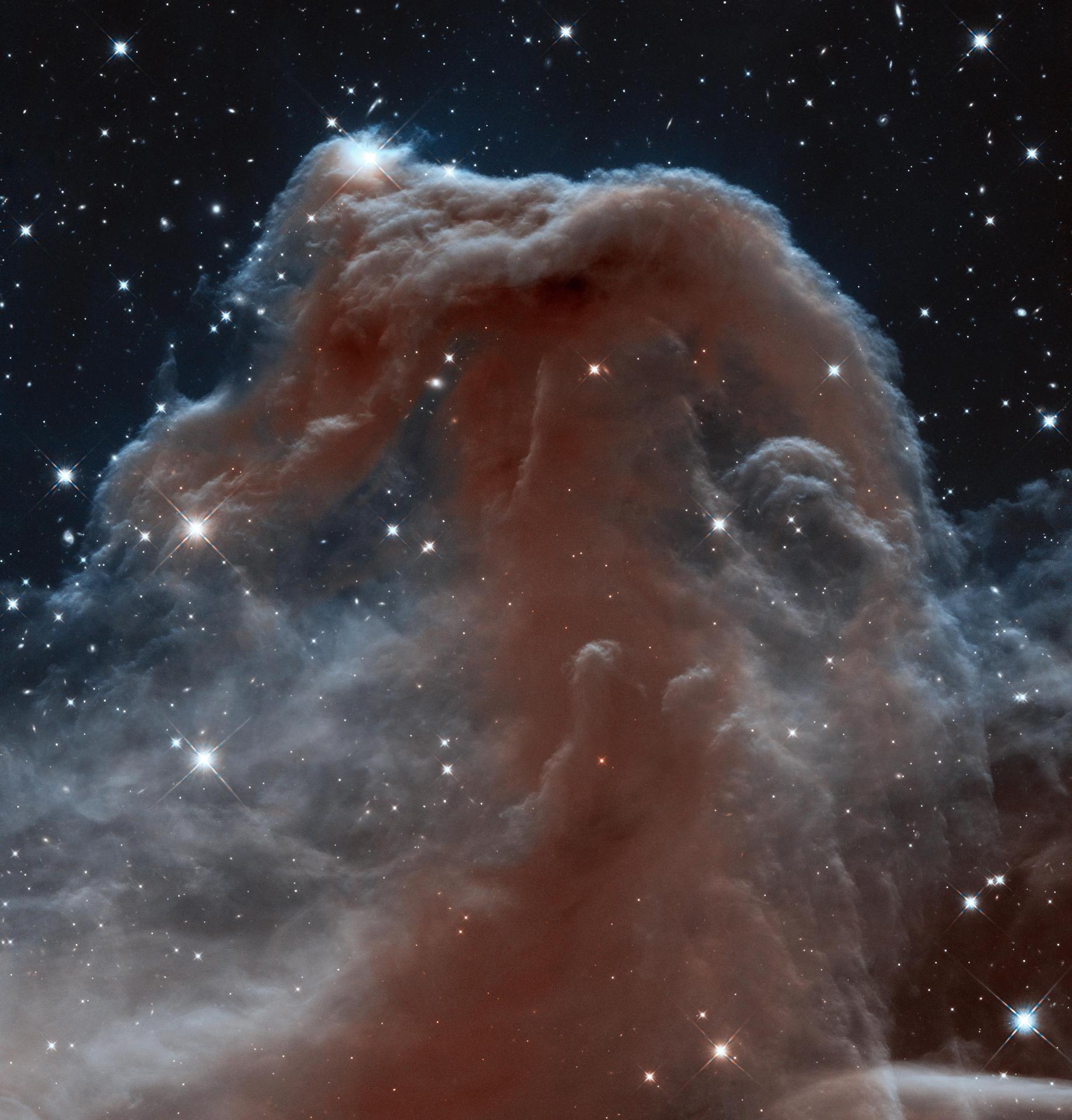 Backlit wisps along the Horsehead Nebula upper ridge are being illuminated by Sigma Orionis, a young five-star system just off the top of this image from the Hubble Space Telescope.