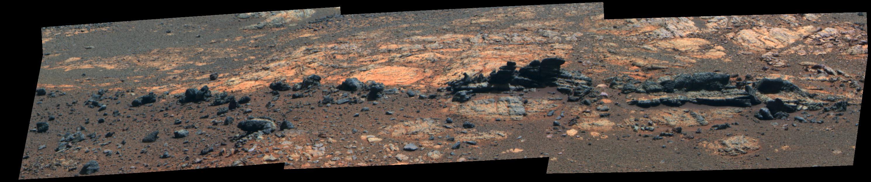 Rock fins up to about 1 foot 30 centimeters tall dominate this false color scene from the panoramic camera Pancam on NASA Mars Exploration Rover Opportunity.