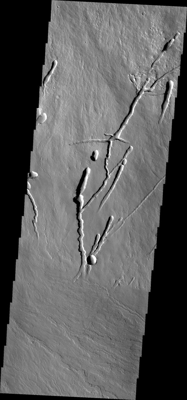 This image from NASA 2001 Mars Odyssey spacecraft shows the southern margin of Pavonis Mons.