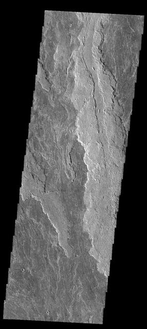The volcanic flows in this image captured by NASA Mars Odyssey spacecraft are part of Daedalia Planum, an extensive flow field originating from Arsia Mons.