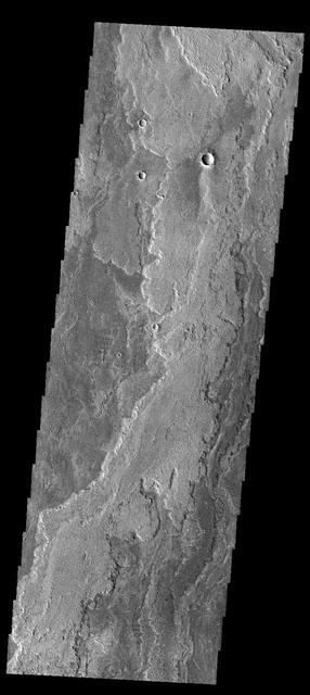 NASA image: Daedalia Planum