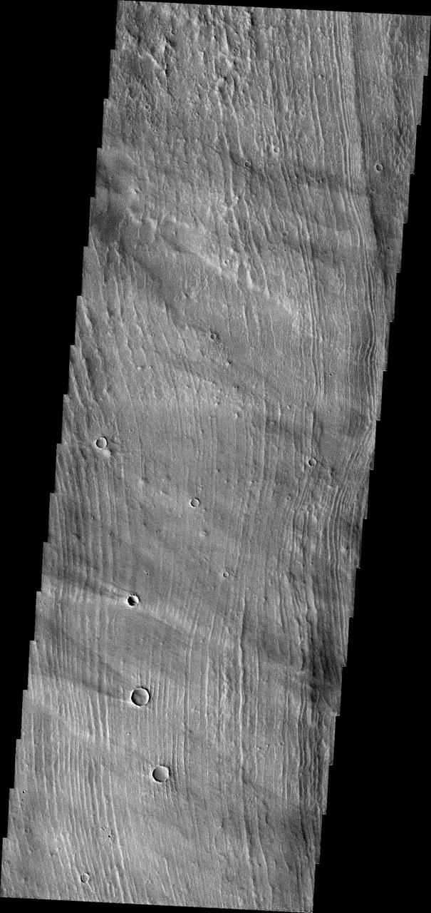 The parallel ridges in this image captured by NASA Mars Odyssey spacecraft are part of Arsia Sulci - a region west of Arsia Mons. How these features were formed is unknown.