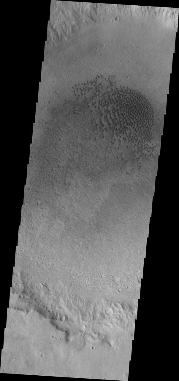 This image captured by NASA 2001 Mars Odyssey spacecraft shows a field of dunes on the floor of an unnamed crater in Terra Cimmeria.