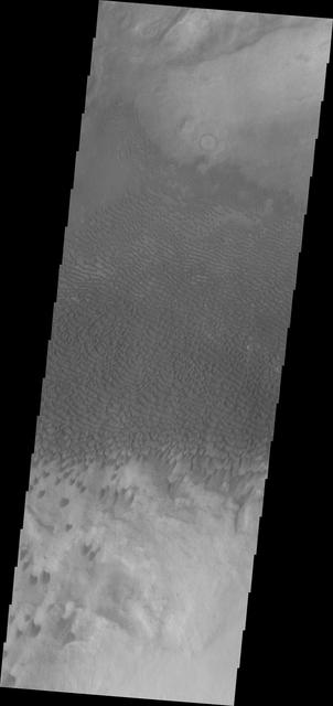 NASA image: Dunes