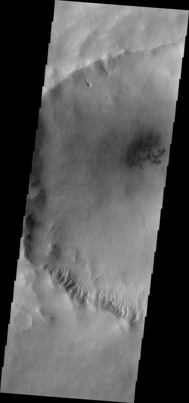 Several gullies of different sizes in this image from NASA Mars Odyssey spacecraft are located on the southern rim of this unnamed crater in Terra Cimmeria.
