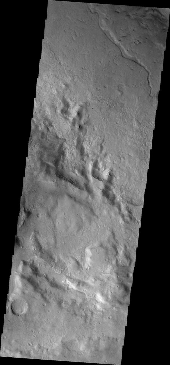 The small channel in this image from NASA 2001 Mars Odyssey spacecraft is located on the floor of Newton Crater.