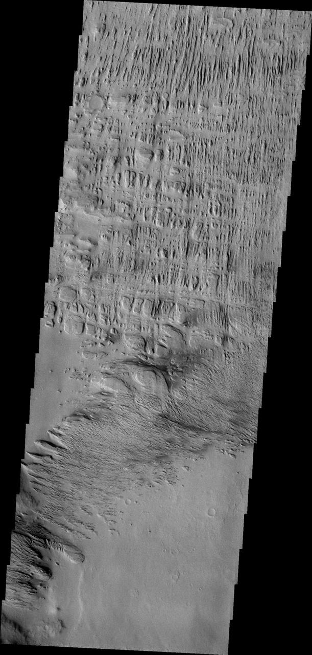 Wind has played a large role in sculpting the complex features in this image captured by NASA 2001 Mars Odyssey spacecraft. This image is located north of Gusev Crater.