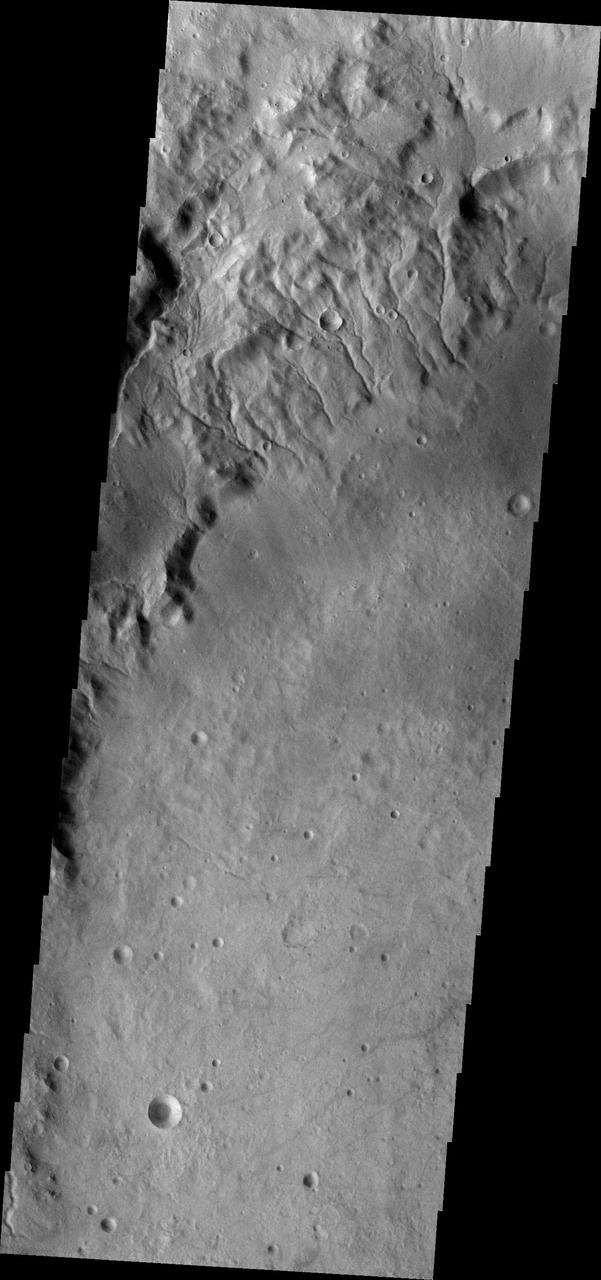 Many small channels dissect the rim of Martz Crater, as shown in this image captured by NASA 2001 Mars Odyssey spacecraft.