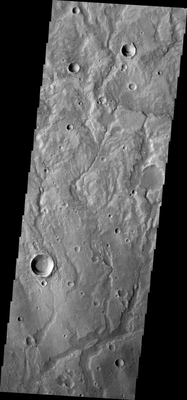 A network of large and small channels dissect this highland region in Terra Cimmeria, as shown in this image captured by NASA 2001 Mars Odyssey spacecraft.