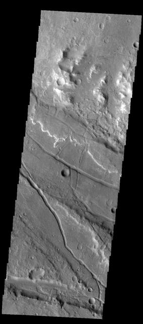 This image captured by NASA 2001 Mars Odyssey spacecraft shows the complex region where Ladon Valles enters a topographic low in Margaritifer Terra.