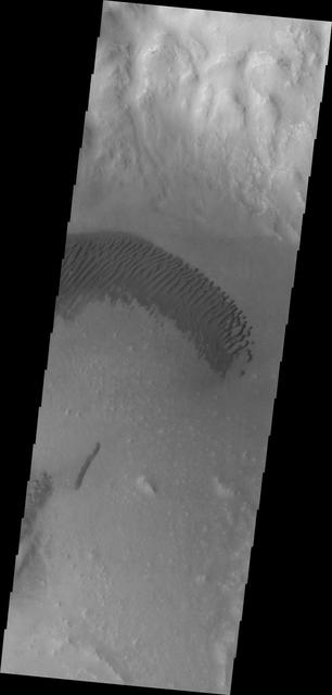 NASA image: Dunes