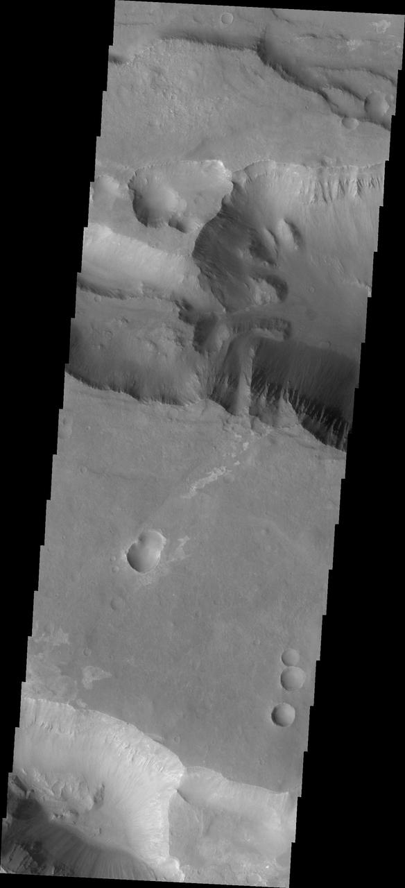 This image captured by NASA 2001 Mars Odyssey spacecraft shows a portion of Coprates Catena, a shallow system of connecting depressions south of Coprates Chasma.