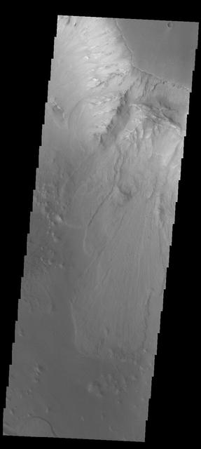 This image captured by NASA 2001 Mars Odyssey spacecraft shows a landslide deposit in Ganges Chasma.
