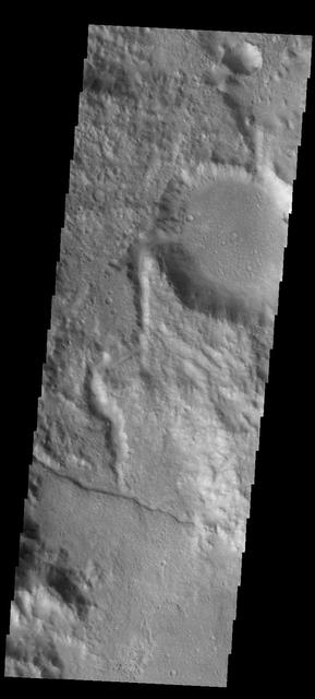 This image captured by NASA 2001 Mars Odyssey spacecraft shows a channel entering a crater in the region called Libya Montes.