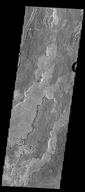 NASA image: Daedalia Planum