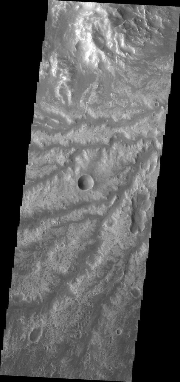 Today VIS image shows more of the channel network that comprises Arda Valles.